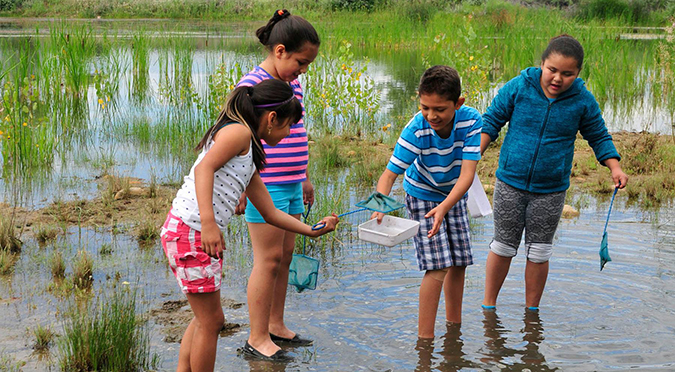 Thorne Nature Experience