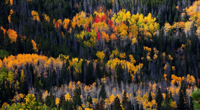 rocky mountain national park