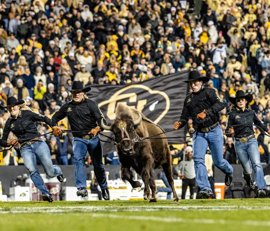 The CU mascot takes the field at a home game